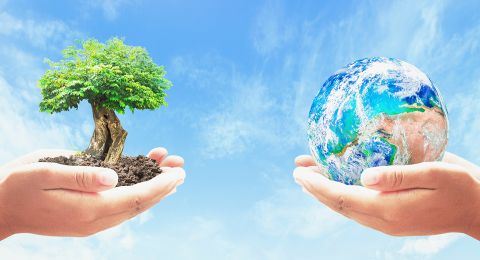 QUALITY SAFETY ENVIRONMENTAL MANAGEMENT SYSTEM